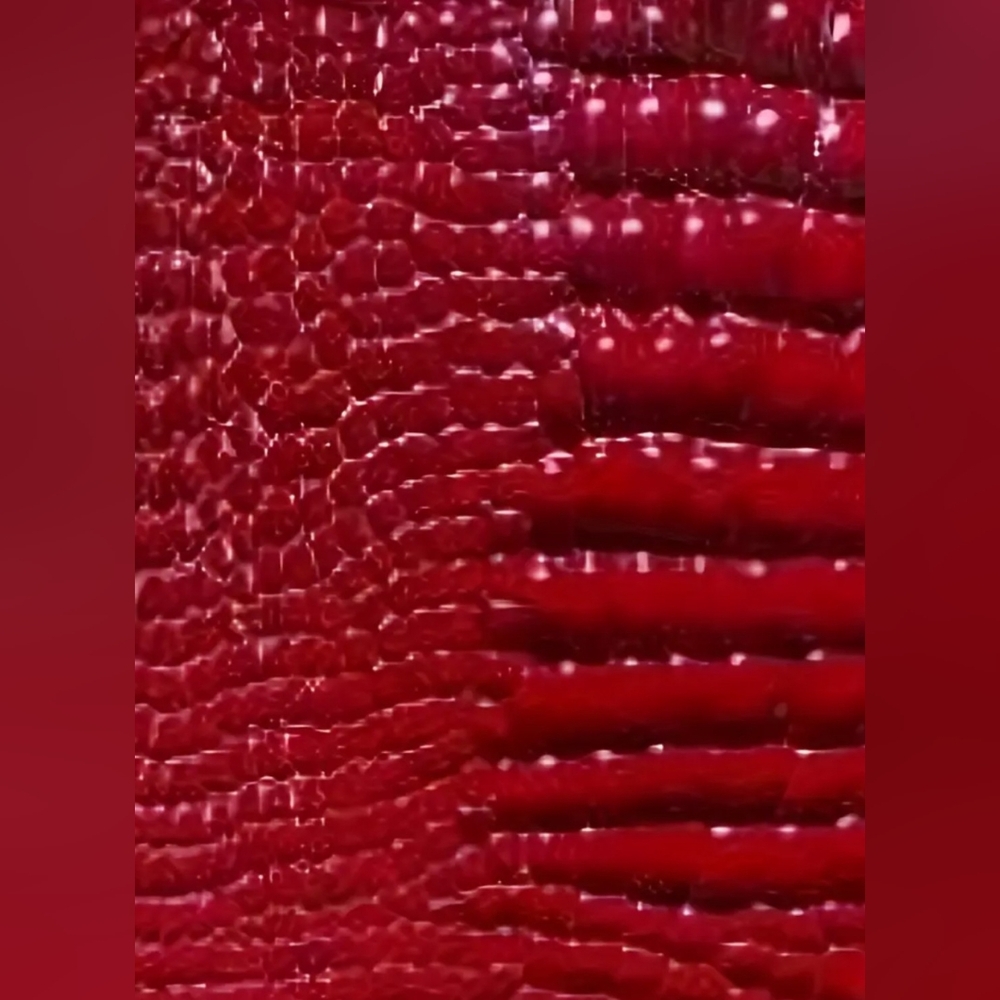 Red Crocodile Pattern Jacket - Picture 4 of 6